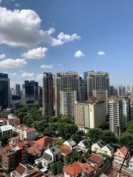 Residences @ Evelyn (D11), Condominium #638601481